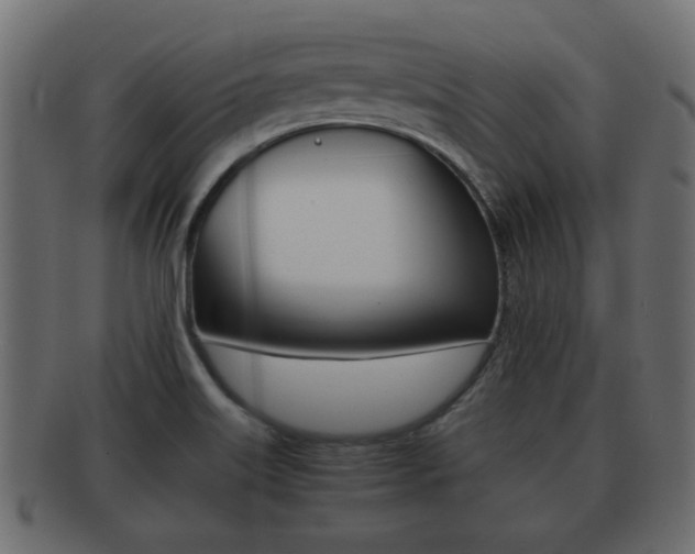 X0000092311515200709141020