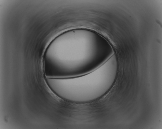 X0000092311516200709141020
