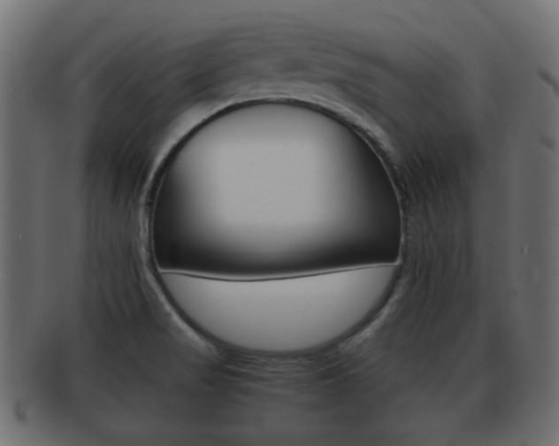 X0000092311517200709141020