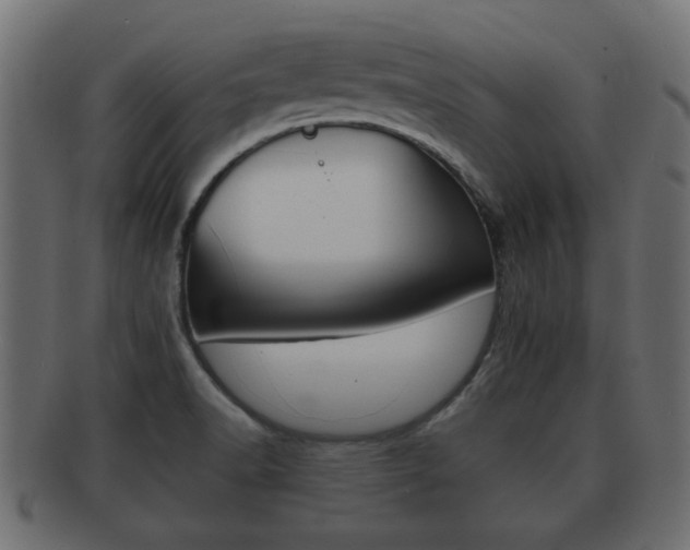 X0000092311518200709141020