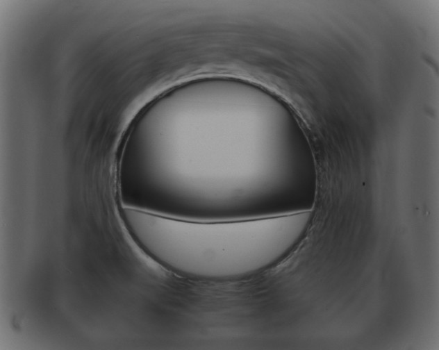 X0000092311519200709141020
