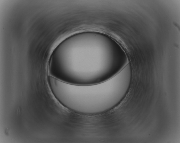 X0000092311520200709141020