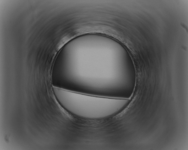 X0000092311521200709141020