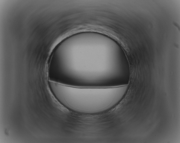 X0000092311522200709141020
