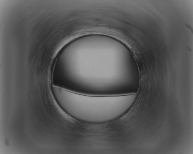 X0000092311523200709141020