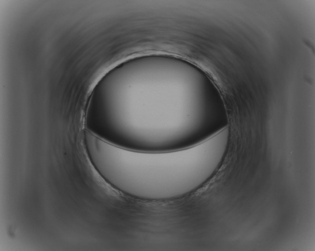 X0000092311524200709141020