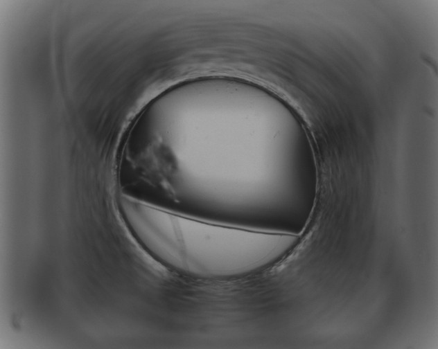X0000092311525200709141020