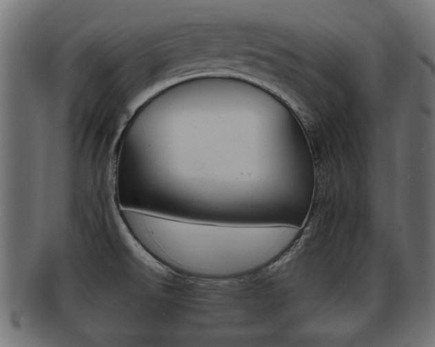 X0000092311526200709141020