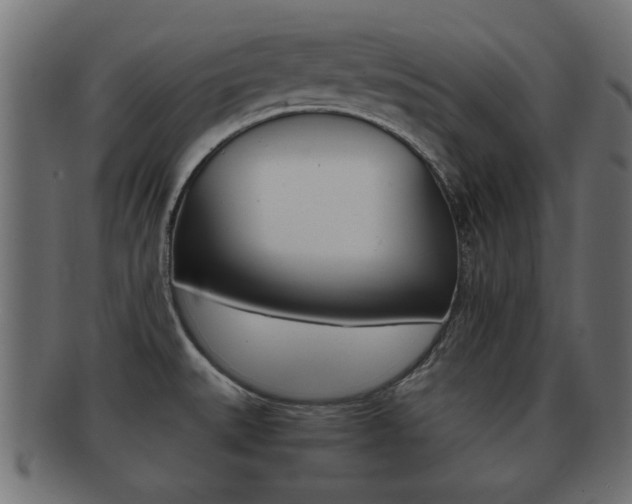 X0000092311527200709141020