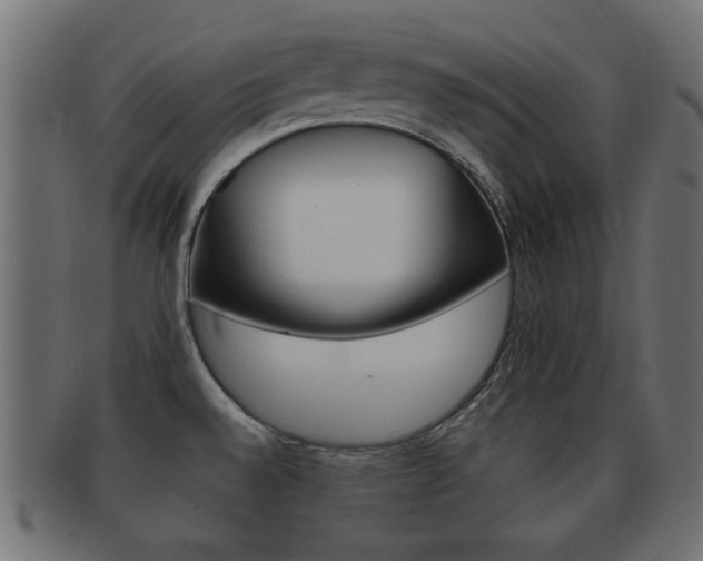 X0000092311528200709141020