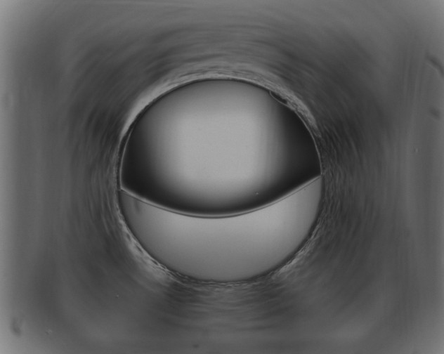 X0000092311530200709141021