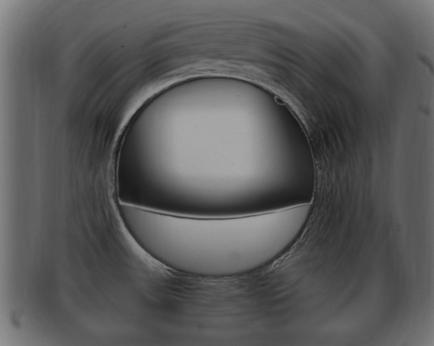 X0000092311531200709141021