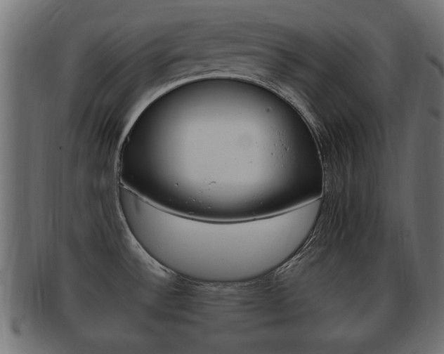 X0000092311532200709141021