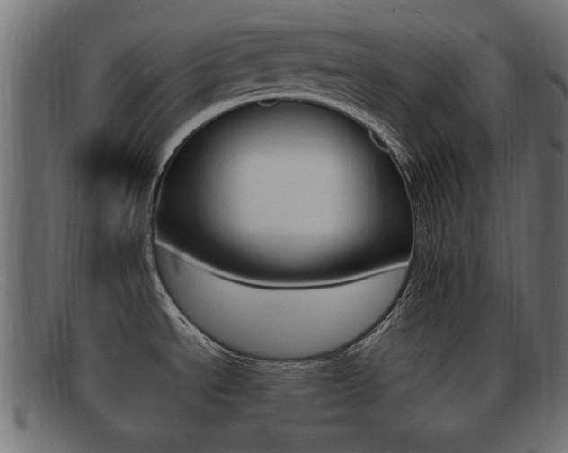 X0000092311534200709141021