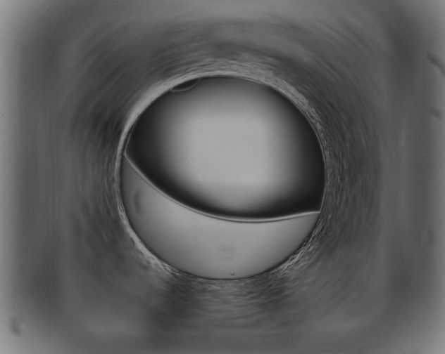 X0000092311536200709141021
