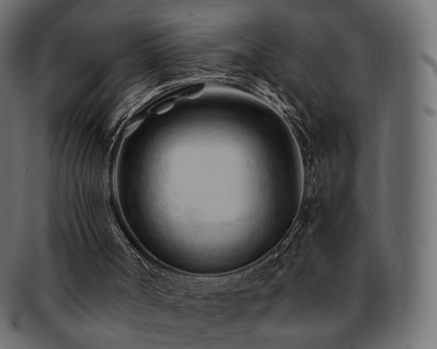X0000092310002200709141403