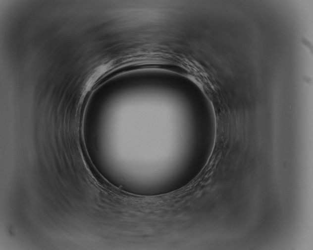 X0000092310003200709141402