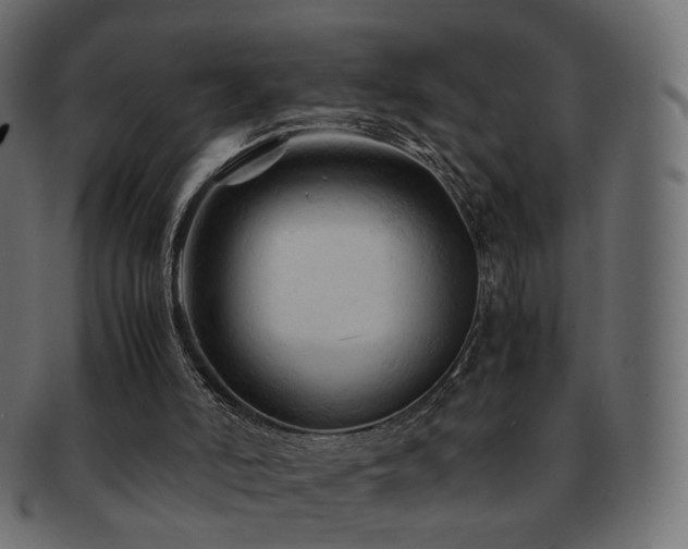 X0000092310006200709141402