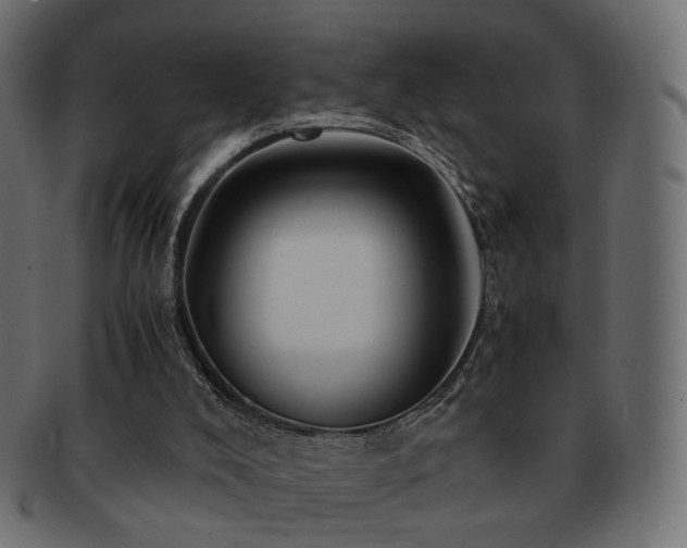 X0000092310008200709141402