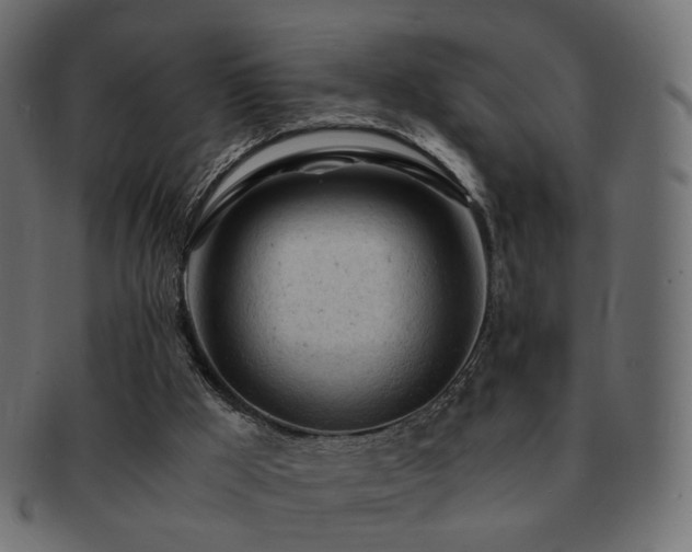 X0000092310009200709141402