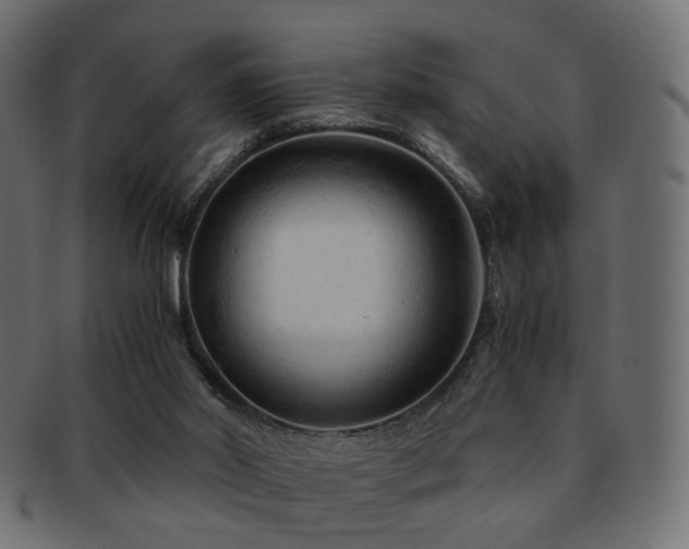 X0000092310014200709141402