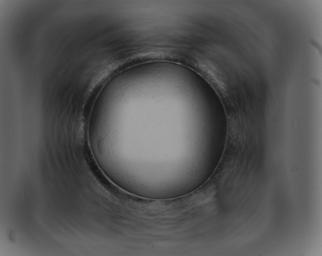X0000092310016200709141402
