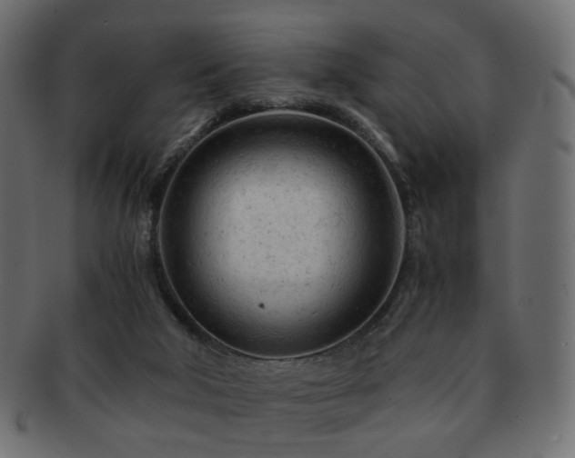 X0000092310018200709141402