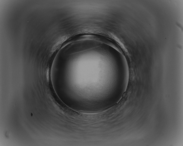 X0000092310019200709141402