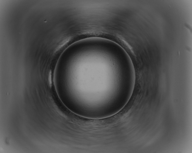 X0000092310020200709141402