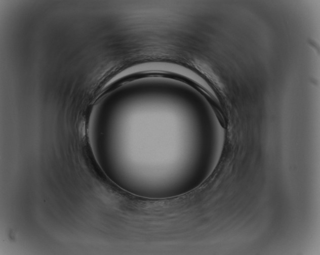 X0000092310021200709141402