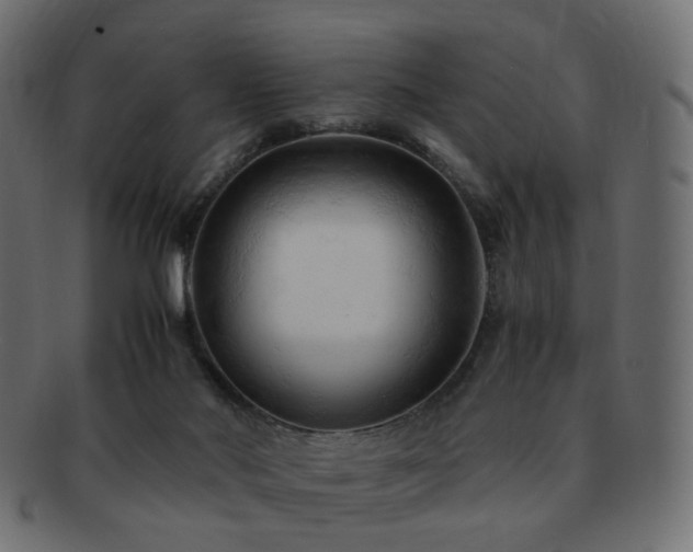 X0000092310022200709141402