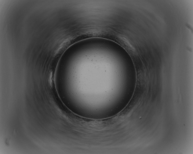 X0000092310024200709141402