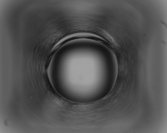 X0000092310025200709141402