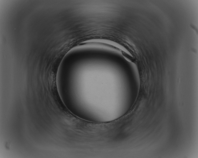 X0000092310029200709141402