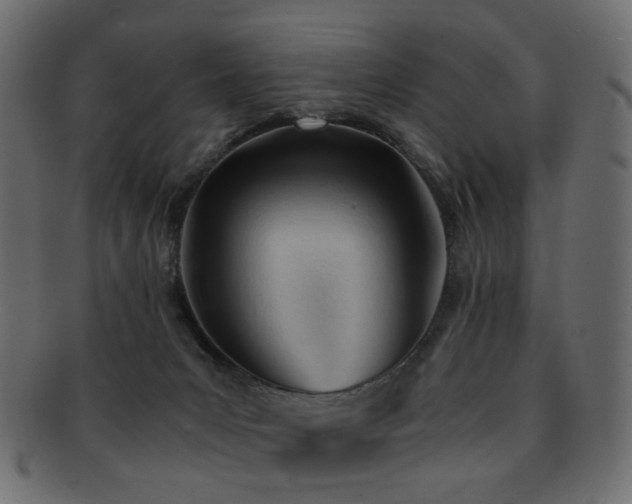 X0000092310031200709141402