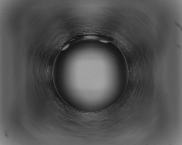 X0000092310034200709141402