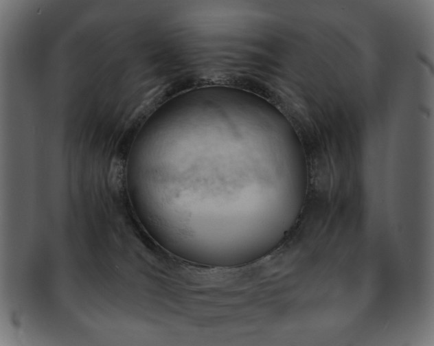 X0000092310036200709141402