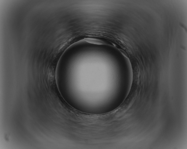X0000092310040200709141402