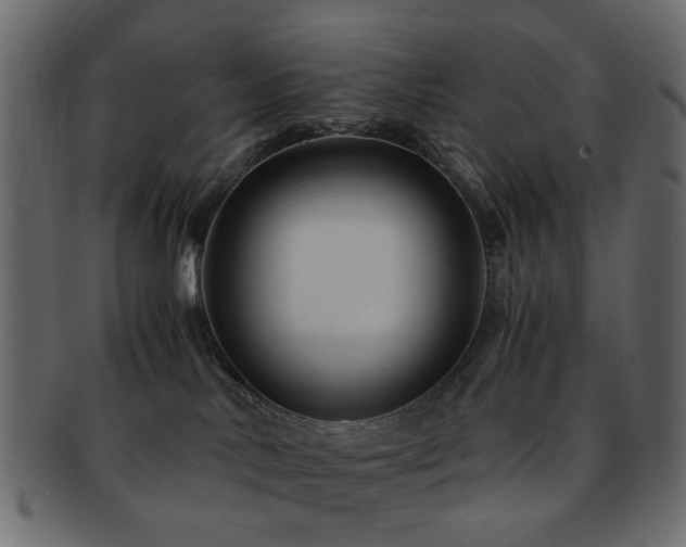 X0000092310042200709141402