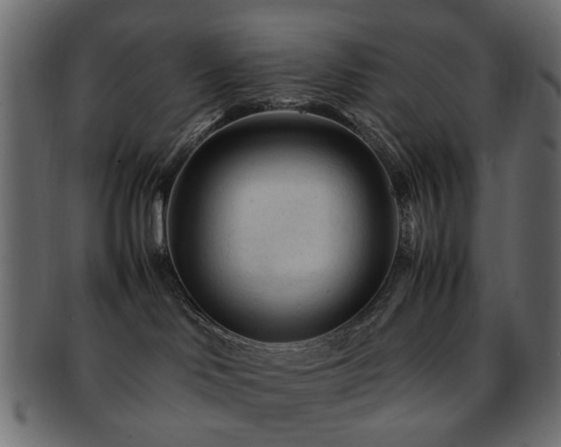 X0000092310046200709141402
