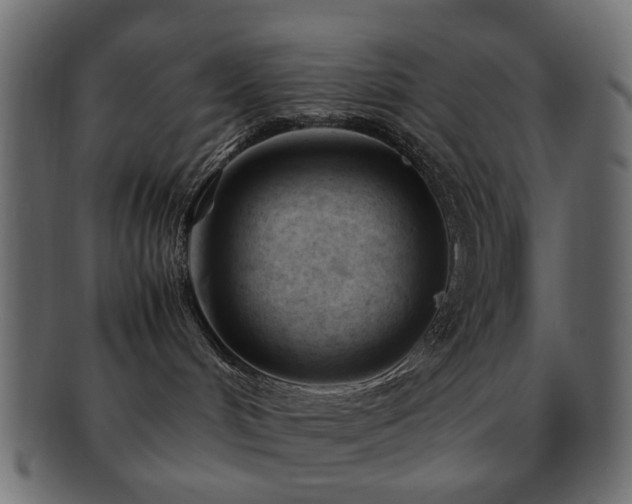 X0000092310048200709141402