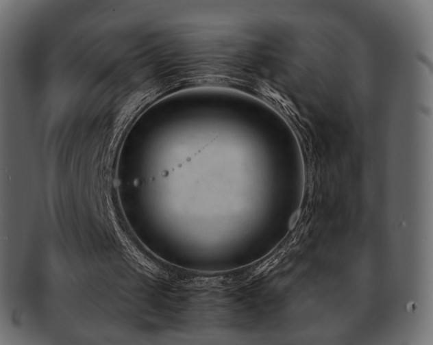 X0000092310049200709141401