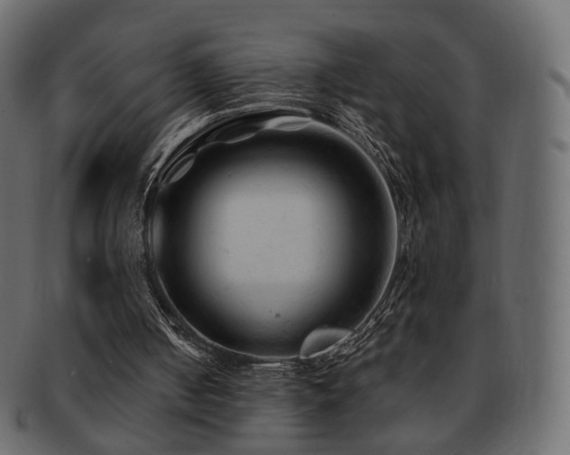 X0000092310050200709141401