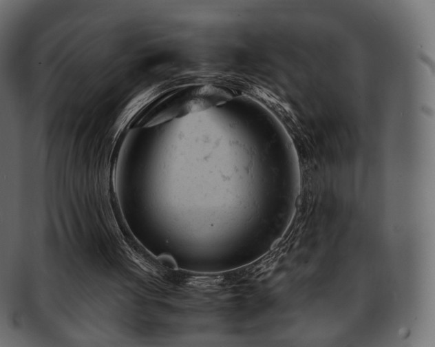 X0000092310051200709141401