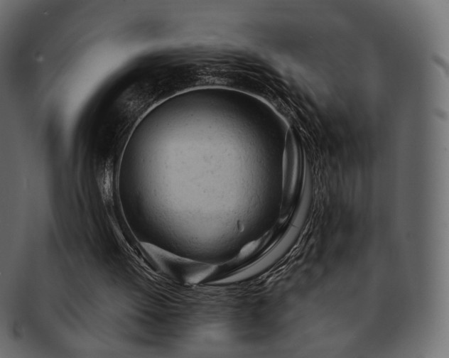 X0000092310052200709141401