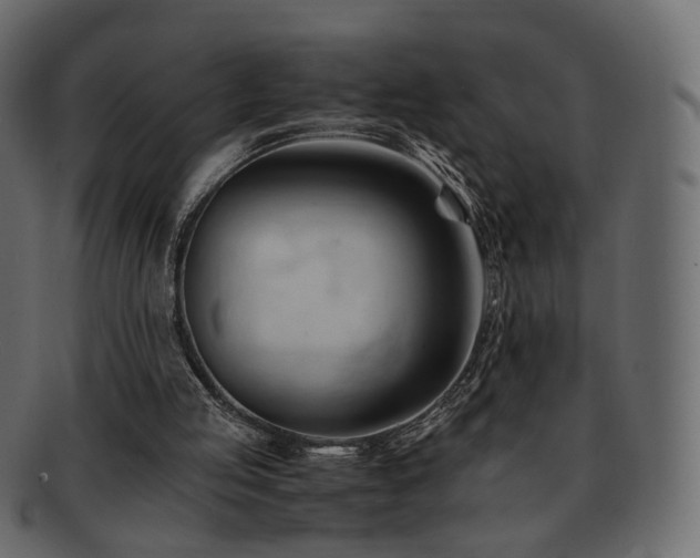 X0000092310053200709141401