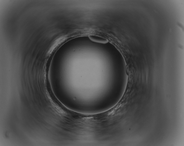 X0000092310054200709141401