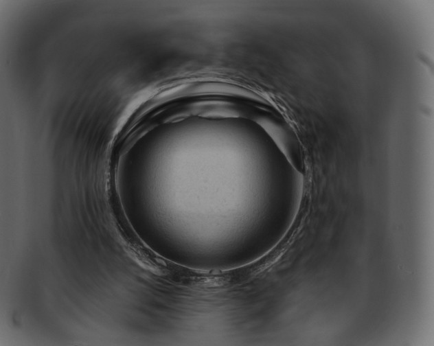 X0000092310056200709141401