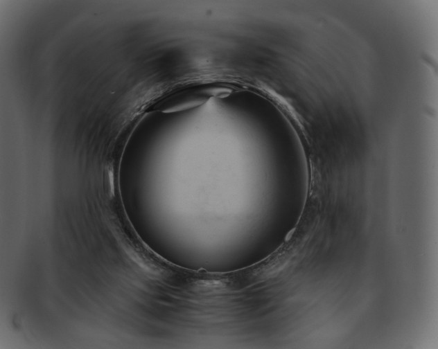 X0000092310061200709141401