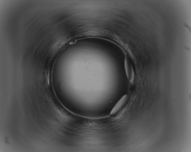 X0000092310062200709141401